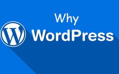 Why WordPress is Best