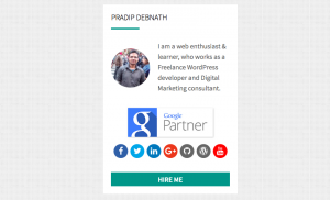 Owner Info Widget WordPress Plugin Portfolio